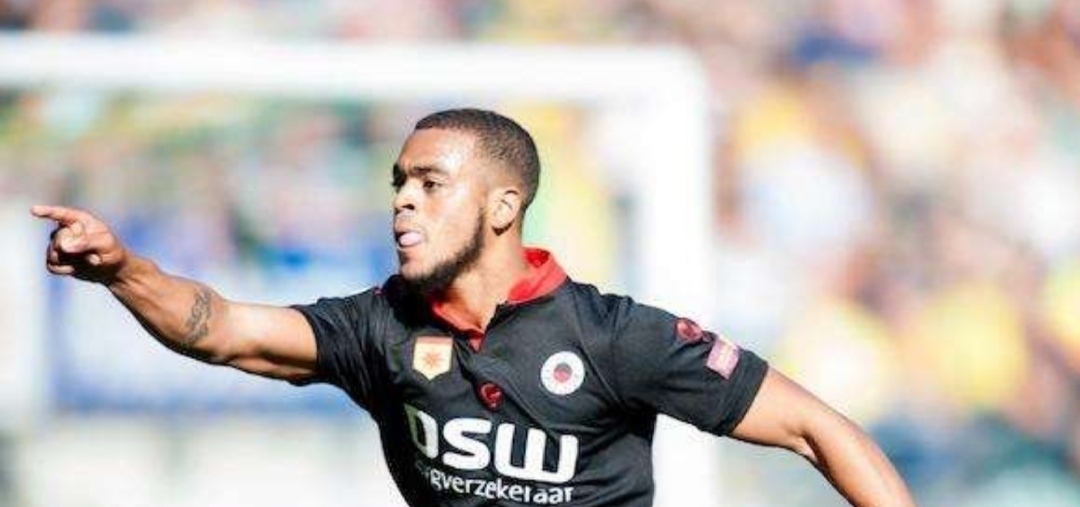 阵容优化乃 阵容优化乃